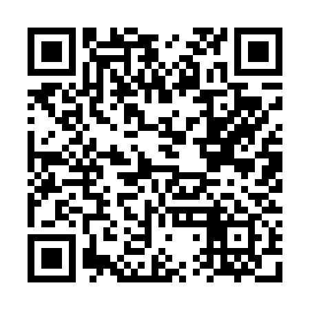 QR code for FTI439