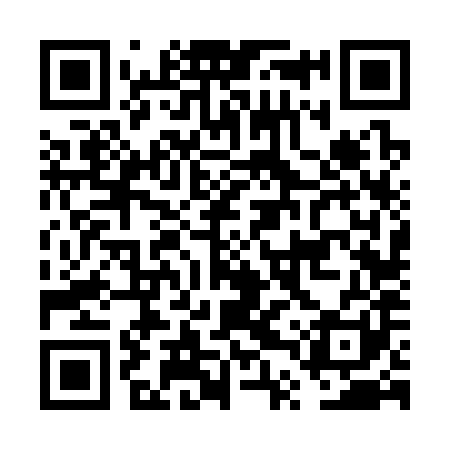 QR code for FTV381