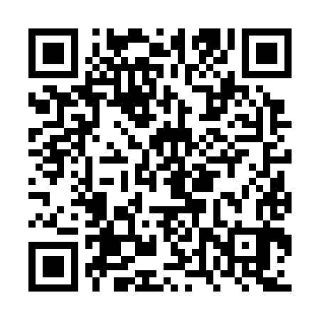 QR code for FTV383