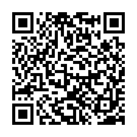 QR code for FVG393