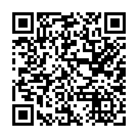 QR code for FVG397