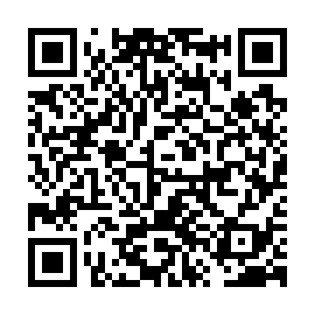 QR code for FVG739