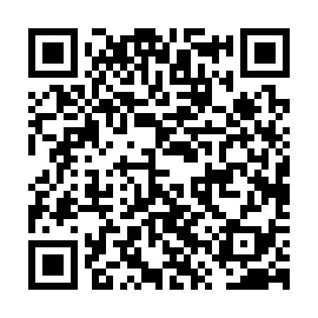 QR code for FVP339