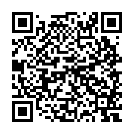 QR code for FVP384