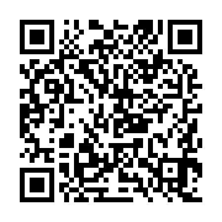 QR code for FYP991