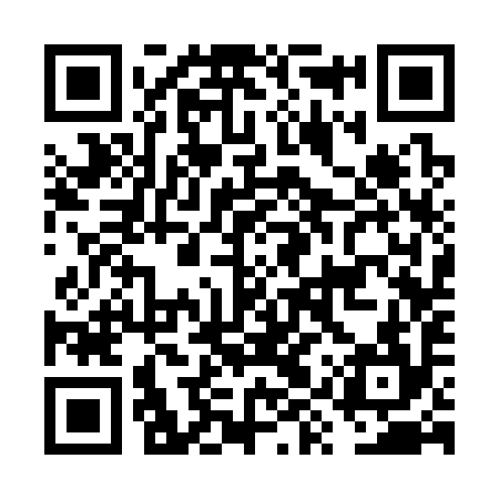 QR code for FYS394