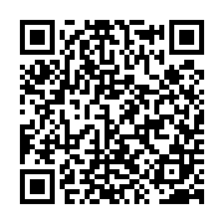 QR code for FYS502