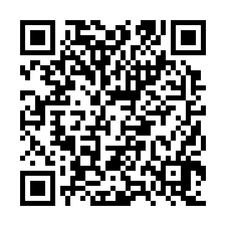 QR code for FZB306