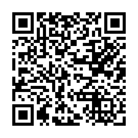 QR code for FZB371
