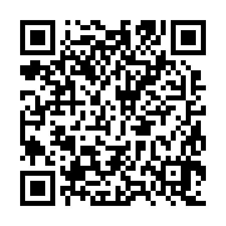 QR code for FZC287