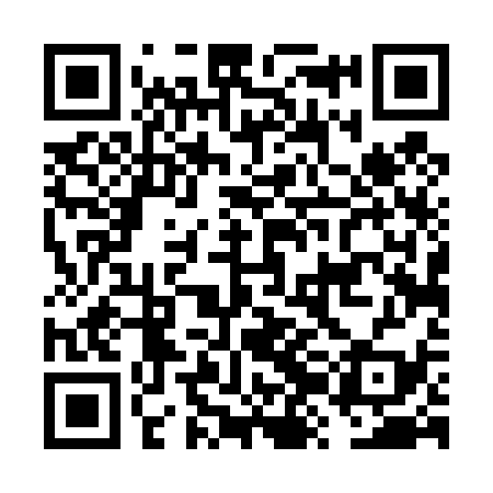 QR code for FZD439