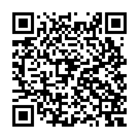 QR code for FZG303