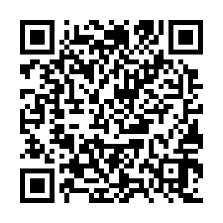 QR code for FZG312