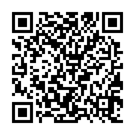 QR code for FZG314