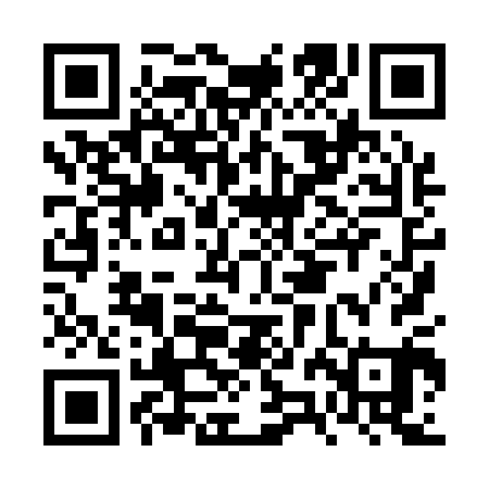 QR code for FZH101