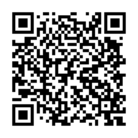 QR code for FZH405