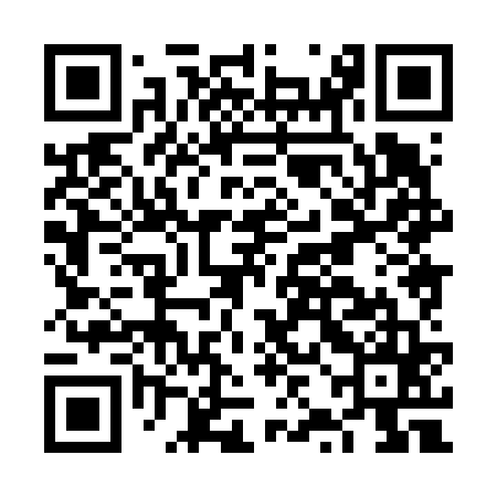 QR code for FZH665