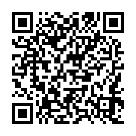 QR code for FZH953