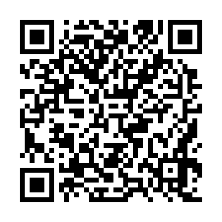 QR code for FZI376