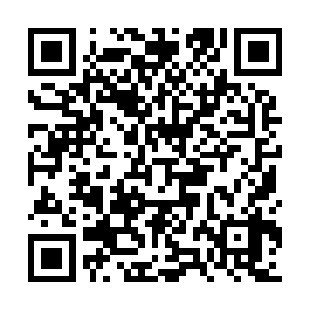 QR code for FZI938