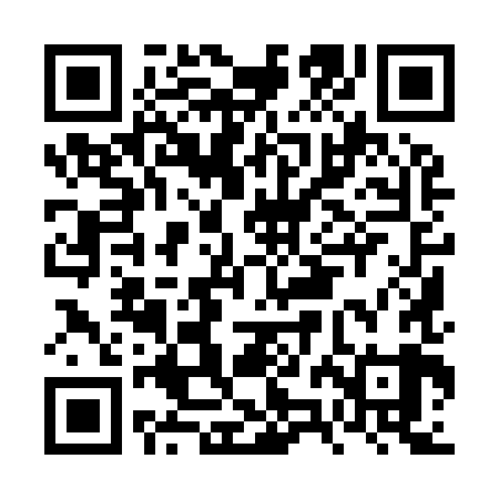 QR code for FZI989