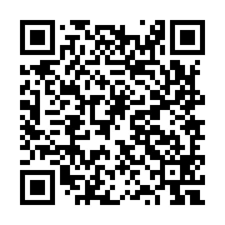 QR code for FZJ999