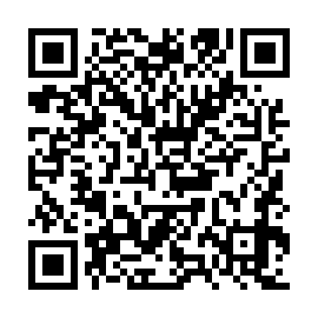 QR code for FZL579