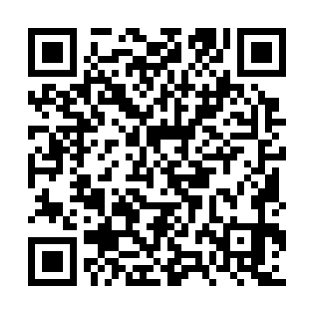 QR code for FZM371
