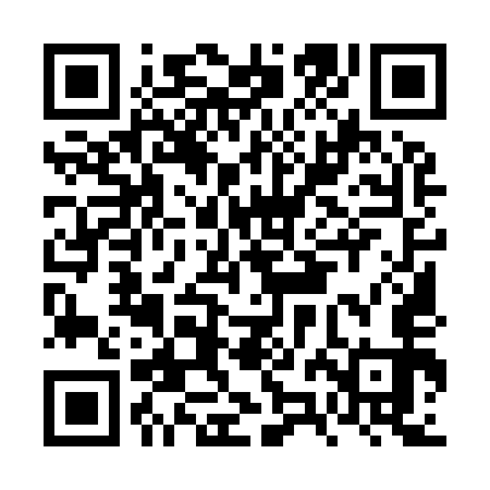 QR code for FZM953