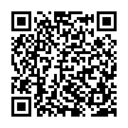 QR code for FZN126