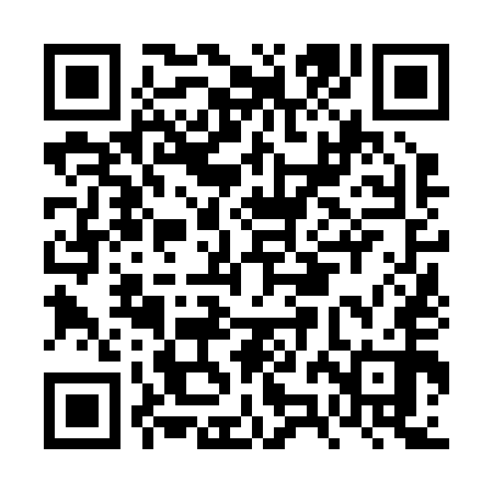 QR code for FZN250