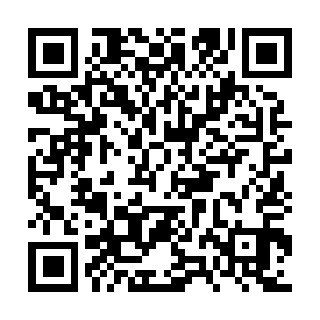 QR code for FZN811