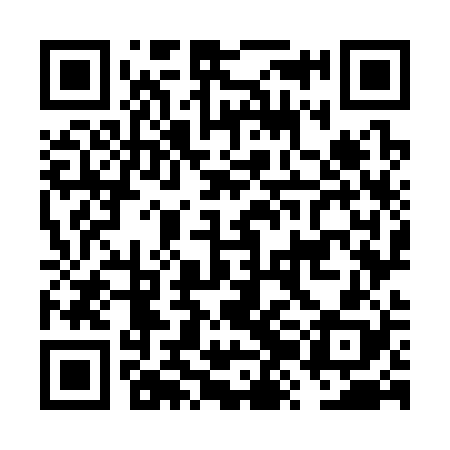 QR code for FZO328