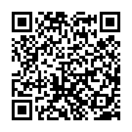 QR code for FZP419