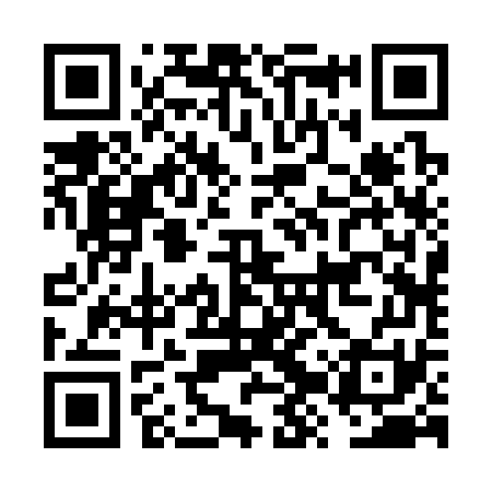 QR code for FZR371