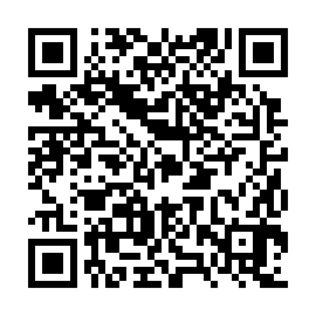 QR code for FZR382