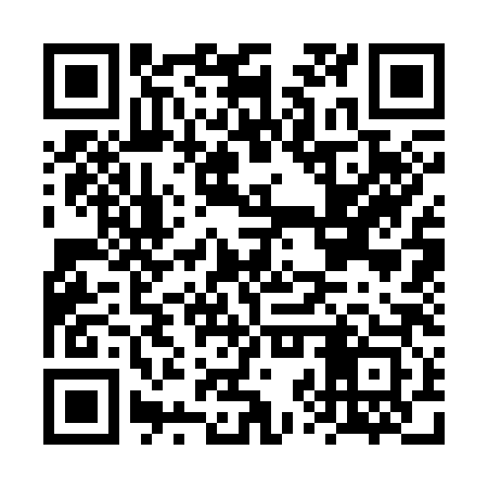 QR code for FZS383