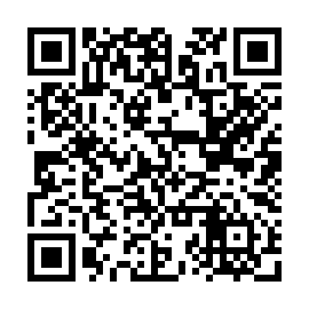 QR code for FZS394