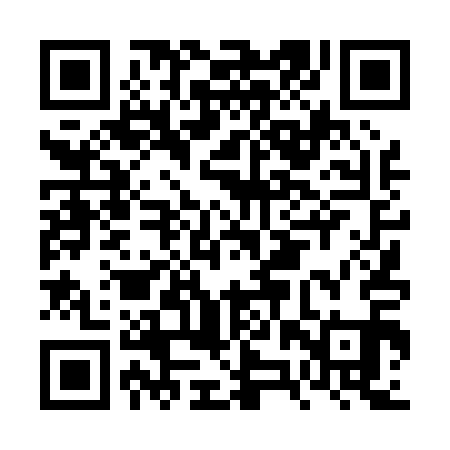 QR code for FZT011