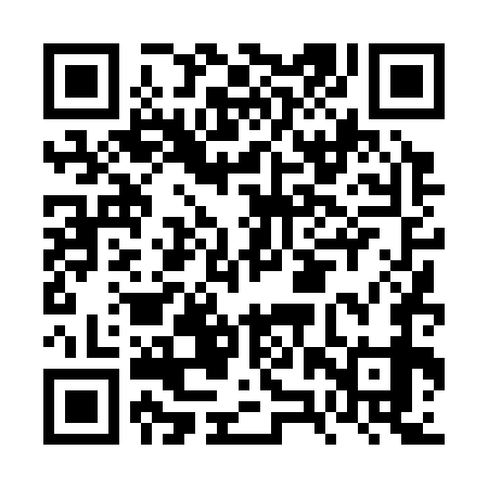 QR code for FZT379