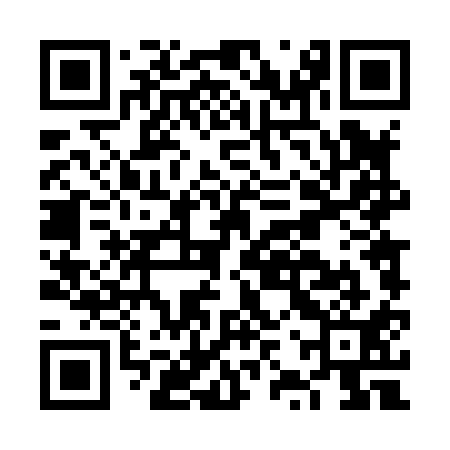 QR code for FZT811