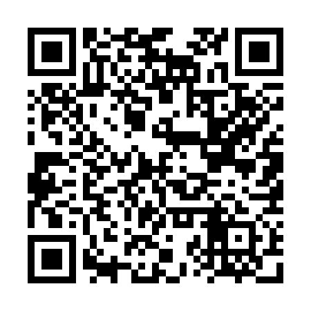 QR code for FZU371