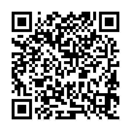 QR code for FZU991