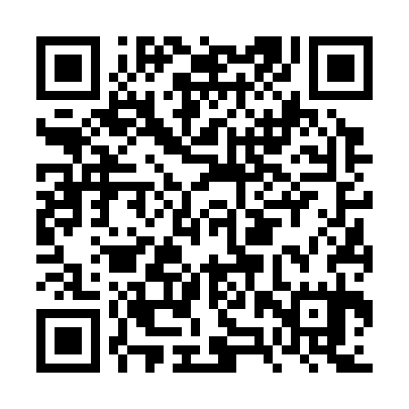 QR code for FZV335