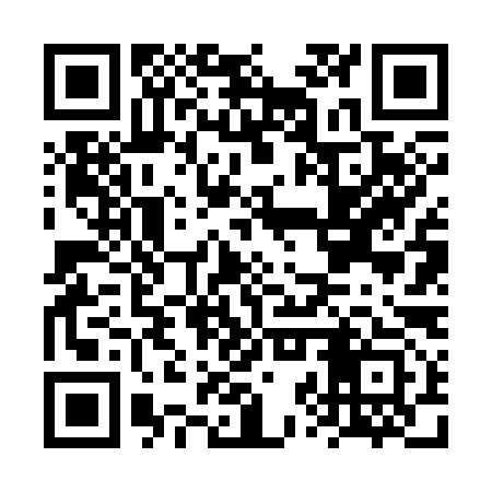 QR code for FZV393