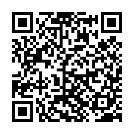 QR code for FZV441
