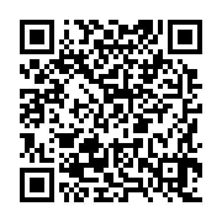 QR code for FZX387