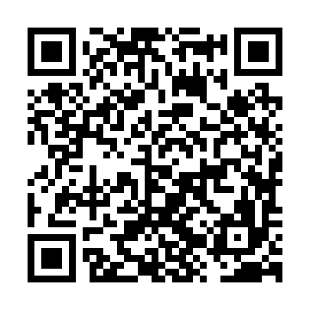 QR code for FZZ296