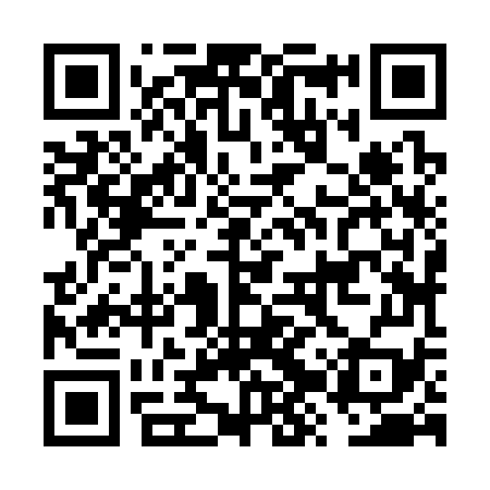 QR code for FZZ379