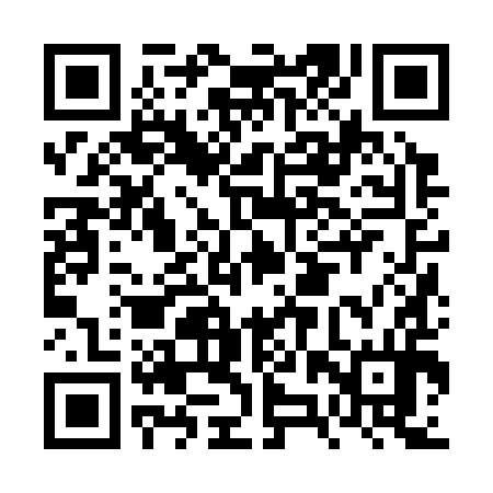 QR code for FZZ394